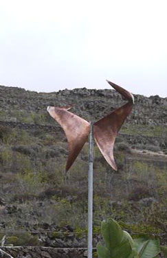 Windspiel 2